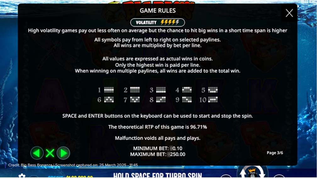 Big Bass Bonanza slot screenshot game rules