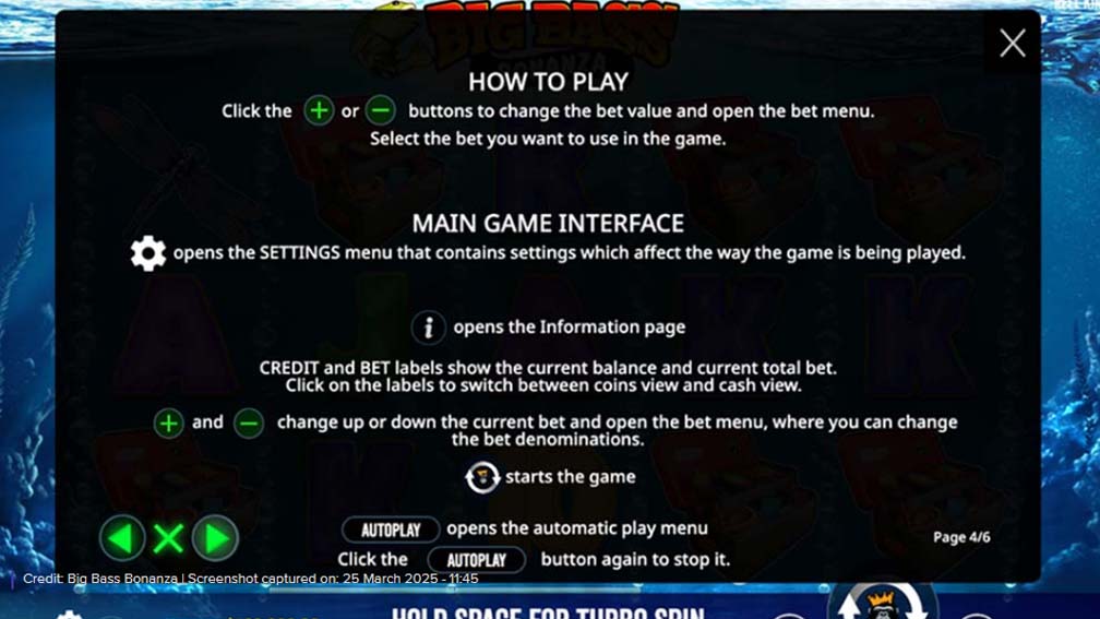 Big Bass Bonanza slot screenshot how to play