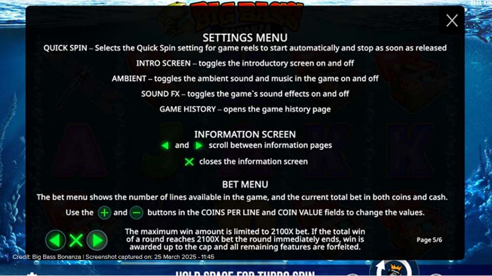 Big Bass Bonanza slot screenshot settings