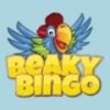 Beaky Bingo Casino