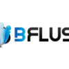 BFlush Casino