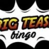 Big Tease Bingo Casino