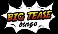 Big Tease Bingo Casino