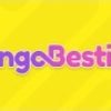 Bingo Besties Casino