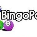 Bingo Port Casino