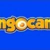 Bingocams Casino