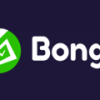 Bongo Slots Casino
