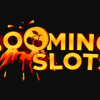 Booming Slots Casino