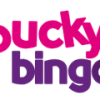 Bucky Bingo Casino