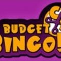 Budget Bingo Casino