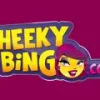Cheeky Bingo Casino