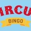 Circus Bingo Casino
