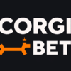 Corgibet Casino
