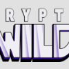 Crypto Wild Casino