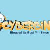 CyberBingo Casino