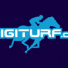 Digiturf Casino