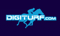 Digiturf Casino