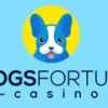 DogsFortune Casino