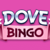 Dove Bingo Casino