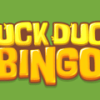 Duck Duck Bingo Casino
