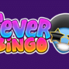 Fever Bingo Casino