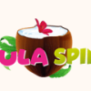 Hula Spins Casino