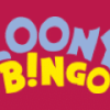 Loony Bingo Casino