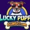 Lucky Puppy Bingo Casino