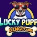 Lucky Puppy Bingo Casino
