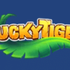 Lucky Tiger Casino