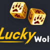 Lucky Wolf Casino