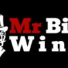 Mr Big Wins Casino