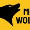 Mr Wolf Slots Casino