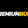 Premium Bull Casino
