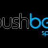 PushBet Casino