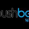 PushBet Casino
