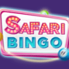 Safari Bingo Casino