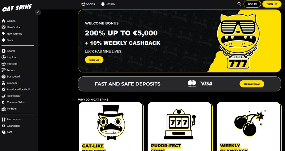 Cat Spins Casino