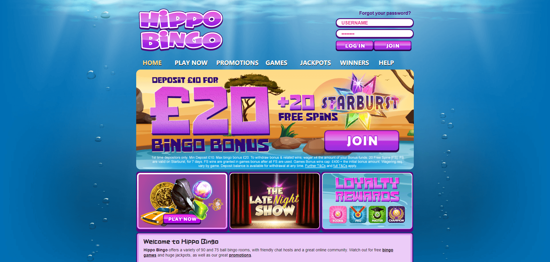 Hippo Bingo Casino