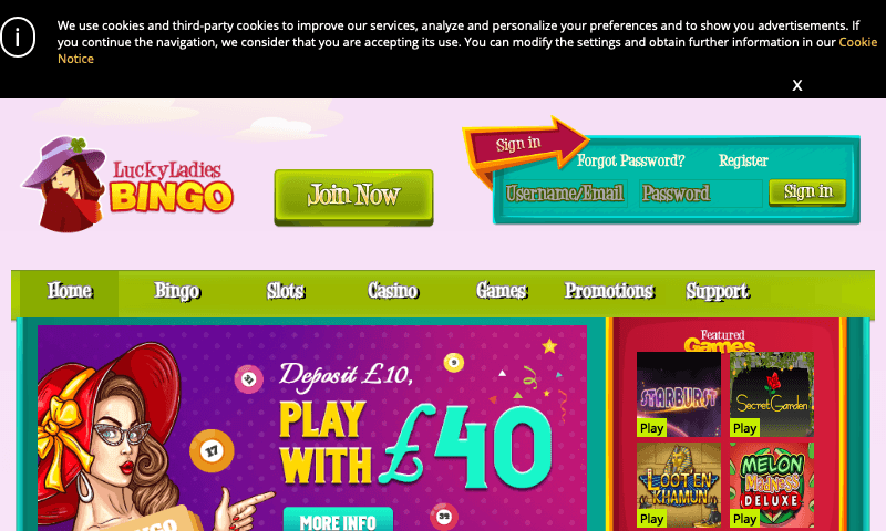 Lucky Ladies Bingo Casino