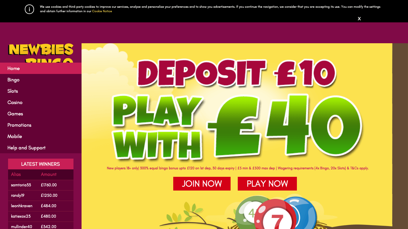 Newbies Bingo Casino