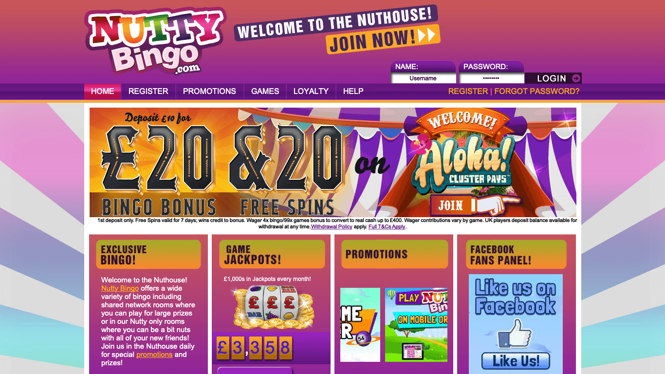 Nutty Bingo Casino