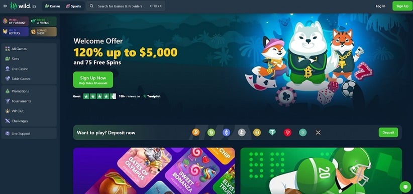 Wild.io Casino