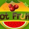 Slot Fruity Casino