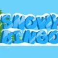 Snowy Bingo Casino