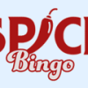 Spice Bingo Casino