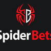 SpiderBets Casino
