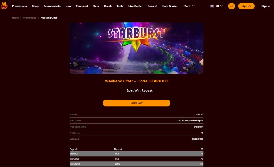 Spins Castle casino ongoing promotions screenshot