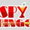Spy Bingo Casino