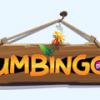 Umbingo Casino